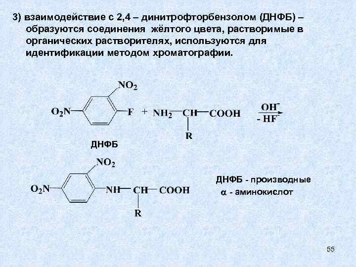 Амины являются органическими основаниями