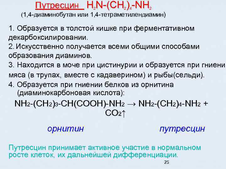 Путресцин H 2 N-(CH 2)4 -NH 2 (1, 4 -диаминобутан или 1, 4 -тетраметилендиамин)