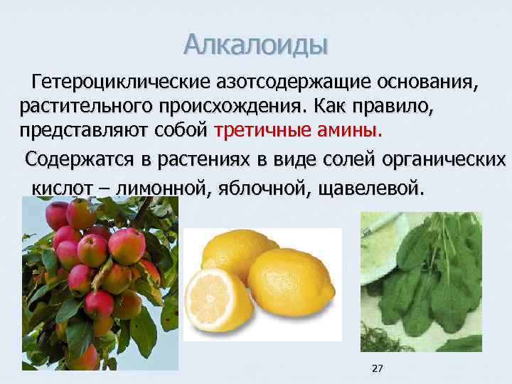 Алкалоиды Гетероциклические азотсодержащие основания, растительного происхождения. Как правило, представляют собой третичные амины. Содержатся в