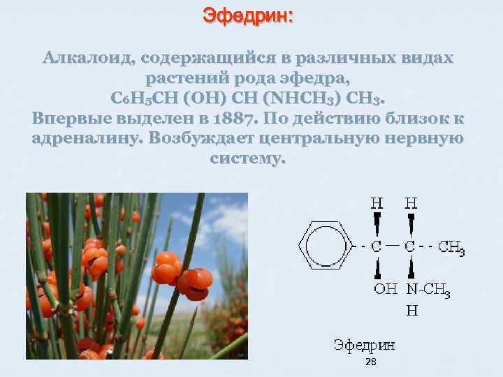 Эфедрин: Алкалоид, содержащийся в различных видах растений рода эфедра, C 6 H 5 CH