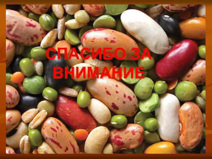 СПАСИБО ЗА ВНИМАНИЕ 