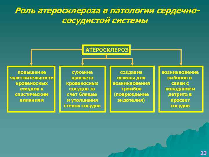 Роль атеросклероза. Роль атеросклероза в патологии сердечно-сосудистой системы. Роль атеросклероза в системе сердечно сосудистых заболеваний. Значение атеросклероза в патологии сердечно-сосудистой системы.. Схема развития сердечно-сосудистой патологии атеросклероз.