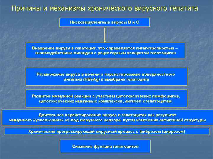 Причины и механизмы хронического вирусного гепатита Низковирулентные вирусы В и С Внедрение вируса в