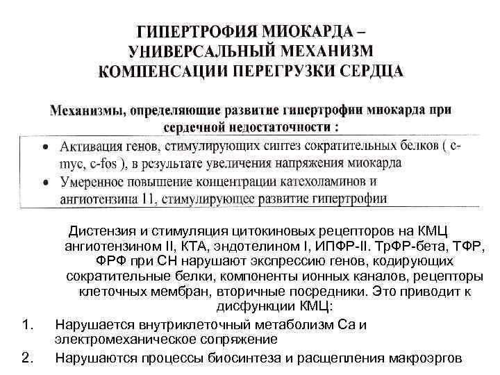 1. 2. Дистензия и стимуляция цитокиновых рецепторов на КМЦ ангиотензином II, КТА, эндотелином I,