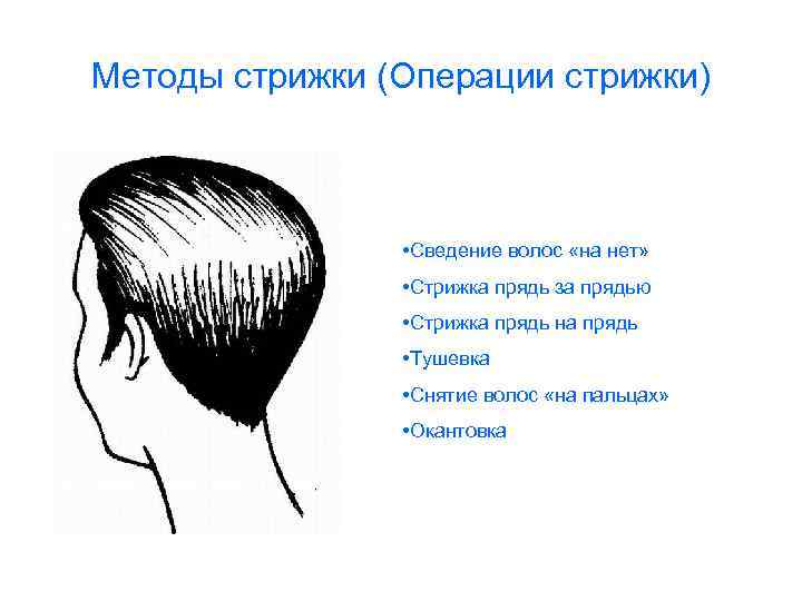 Методы стрижки (Операции стрижки) • Сведение волос «на нет» • Стрижка прядь за прядью