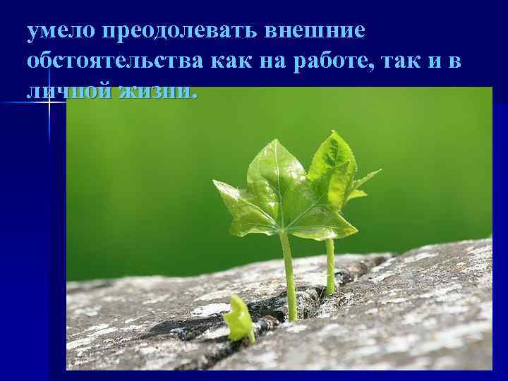 умело преодолевать внешние обстоятельства как на работе, так и в личной жизни. 