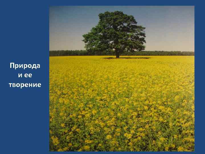 Природа и ее творение 
