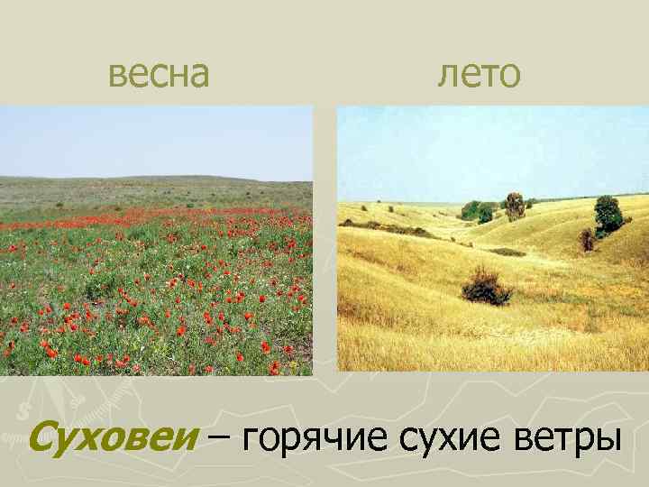 весна лето Суховеи – горячие сухие ветры 