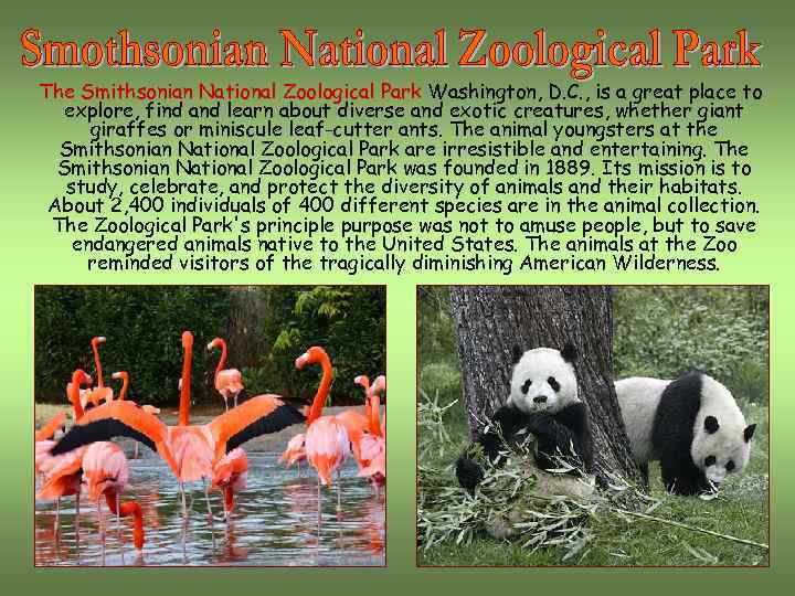 The Smithsonian National Zoological Park Washington, D. C. , is a great place to