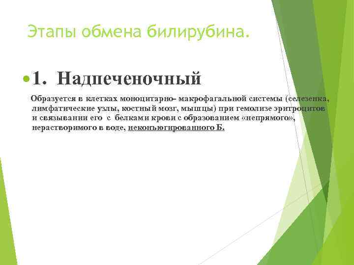 Этапы обмена билирубина. 1. Надпеченочный Образуется в клетках моноцитарно- макрофагальной системы (селезенка, лимфатические узлы,