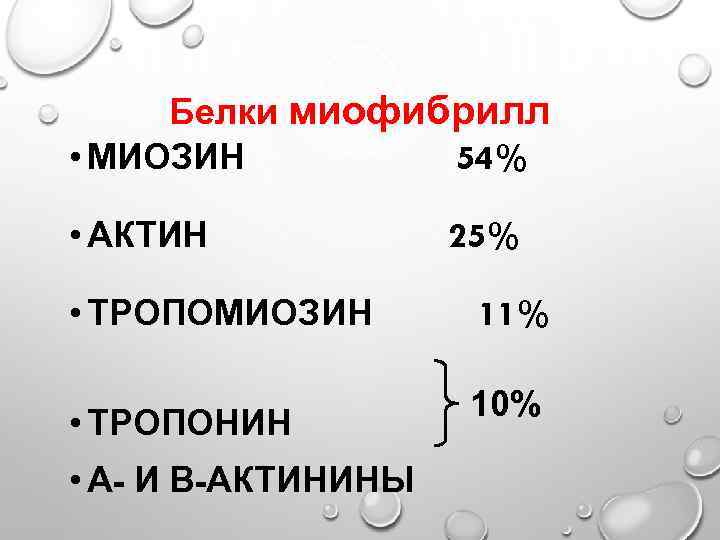 Белки миофибрилл • МИОЗИН 54% • АКТИН 25% • ТРОПОМИОЗИН 11% • ТРОПОНИН 10%