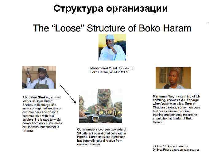 Структура организации 