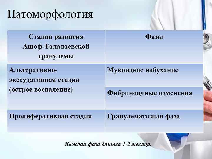 Патоморфология Стадии развития Ашоф-Талалаевской гранулемы Фазы Альтеративноэкссудативная стадия (острое воспаление) Мукоидное набухание Пролиферативная стадия