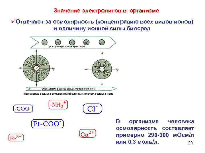 Значение электролитов в организме üОтвечают за осмолярность (концентрацию всех видов ионов) и величину ионной