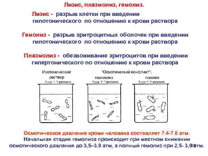 Изотонический раствор гипотонический