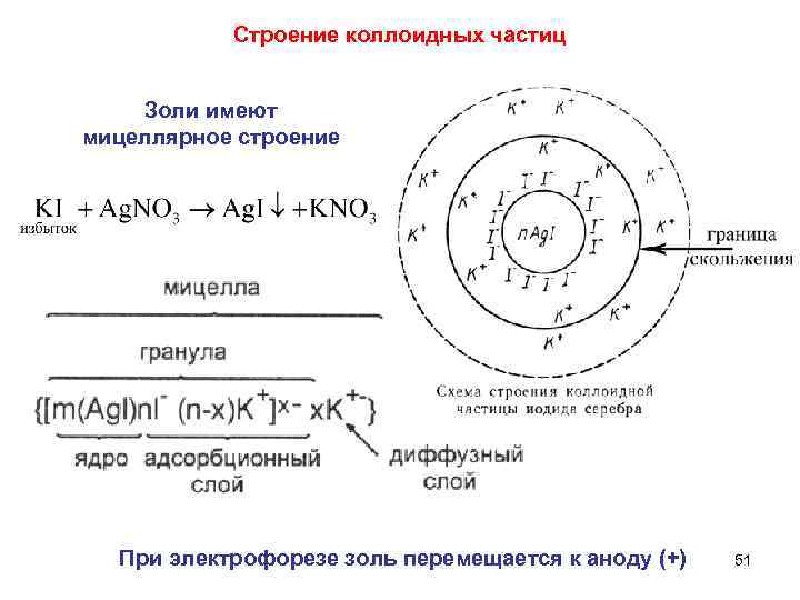 Строение коллоидных частиц Золи имеют мицеллярное строение При электрофорезе золь перемещается к аноду (+)