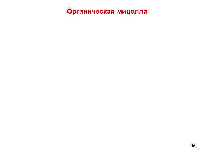 Органическая мицелла 56 