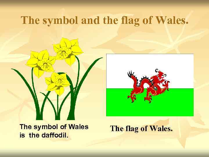 Flag symbols. Желтый Нарцисс символ Уэльса. Daffodil эмблема Уэльса. Национальный символ Wales. Нац символ Уэльса.