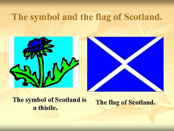 What is the symbol of scotland