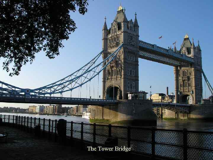 The Tower Bridge 