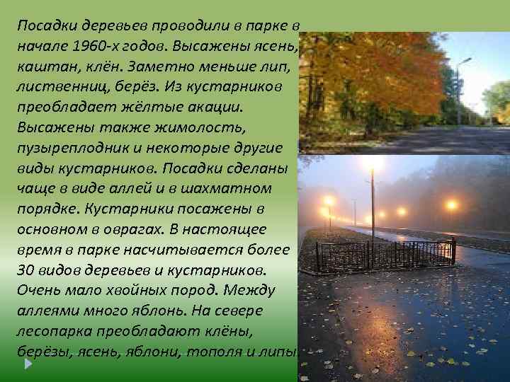 Посадки деревьев проводили в парке в начале 1960 -х годов. Высажены ясень, каштан, клён.