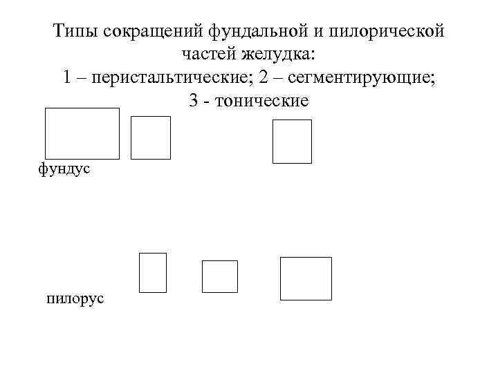 Типы сокращений фундальной и пилорической частей желудка: 1 – перистальтические; 2 – сегментирующие; 3