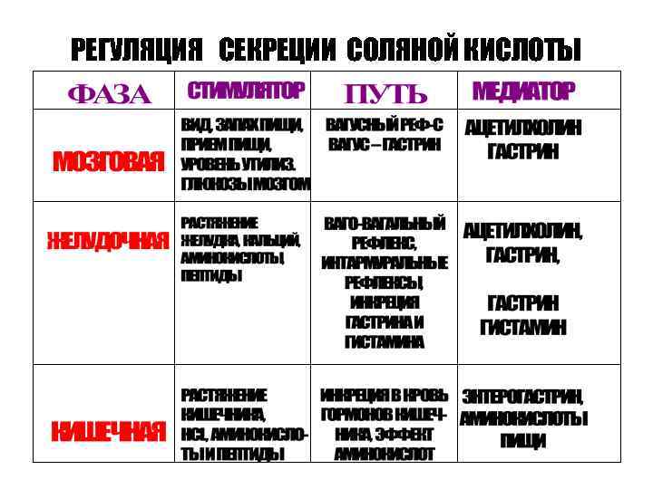 РЕГУЛЯЦИЯ СЕКРЕЦИИ СОЛЯНОЙ КИСЛОТЫ 
