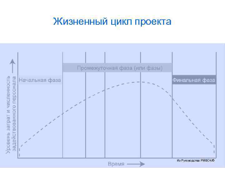 Жизненный цикл проекта Из Руководства PMBOK® 