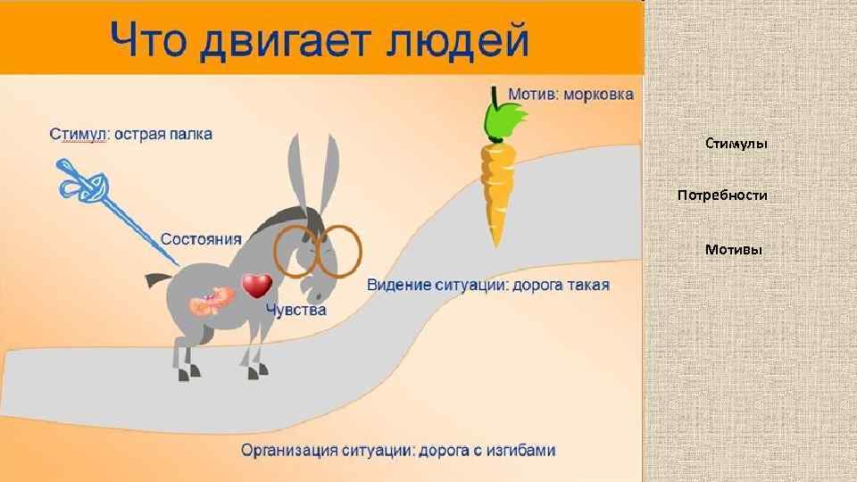 Стимулы Потребности Мотивы 