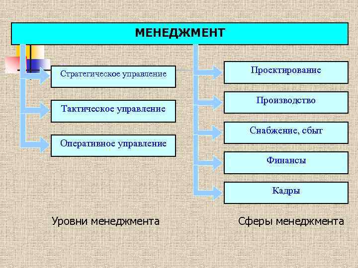 Сферы менеджмента