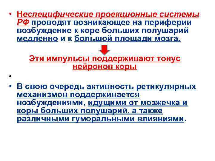  • Неспецифические проекционные системы РФ проводят возникающее на периферии возбуждение к коре больших