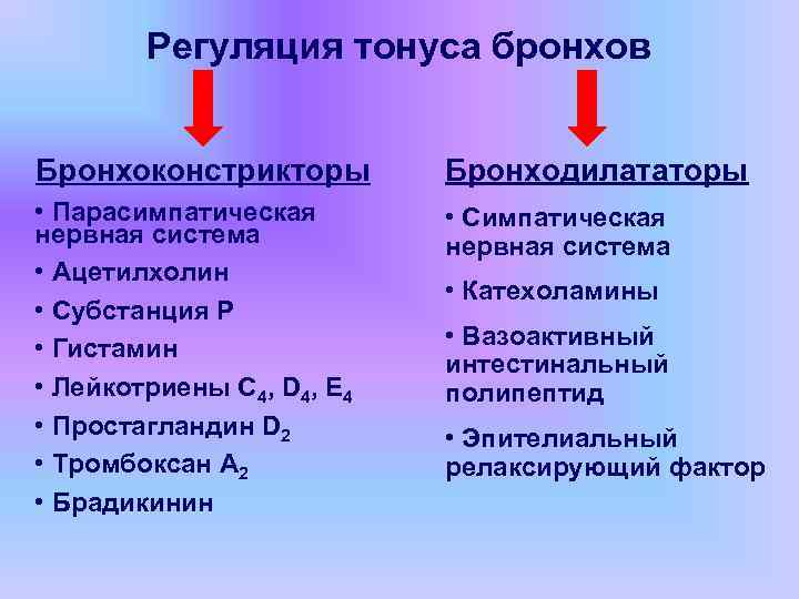 Регуляция тонуса. Регуляция тонуса бронхов. Регуляция бронхиального тонуса. Бронхоконстрикторы. Механизмы регуляции тонуса бронхов.