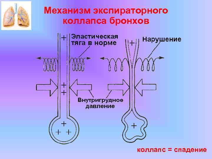 Коллапс прохождение слепые оракулы