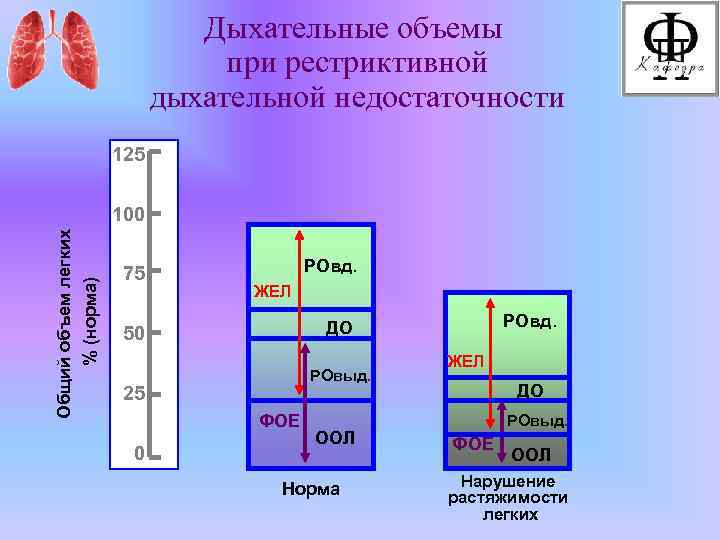 Дыхательный объем легких