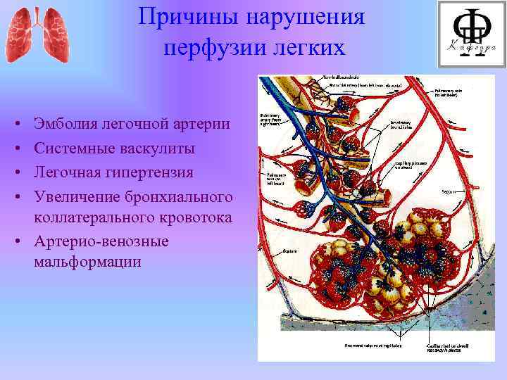 Обратная перфузия