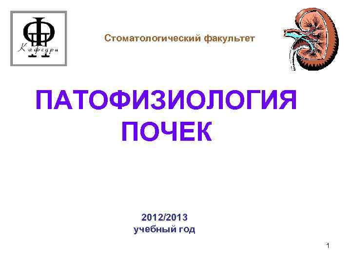 Стоматологический факультет ПАТОФИЗИОЛОГИЯ ПОЧЕК 2012/2013 учебный год 1 
