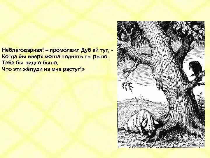 Неблагодарная! – промолвил Дуб ей тут, Когда бы вверх могла поднять ты рыло, Тебе