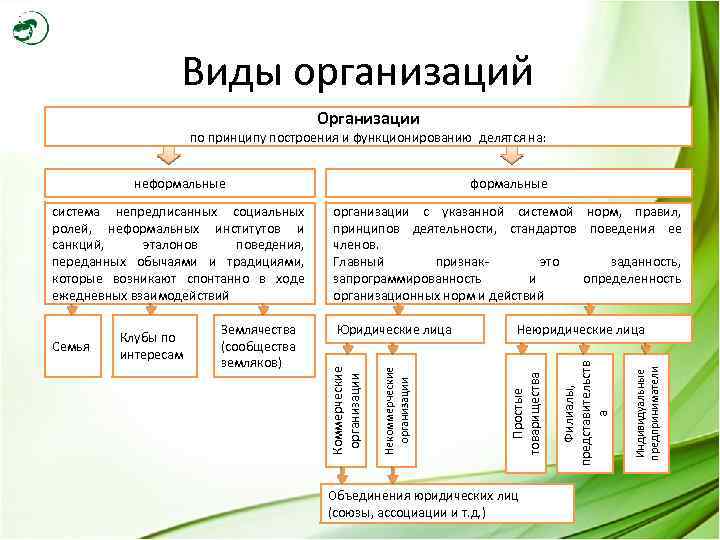 Виды организаций Организации по принципу построения и функционированию делятся на: неформальные система непредписанных социальных