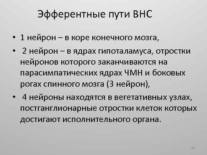 Эфферентные пути ВНС • 1 нейрон – в коре конечного мозга, • 2 нейрон