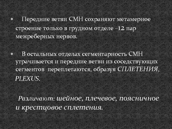  Передние ветви CМН сохраняют метамерное строение только в грудном отделе – 12 пар