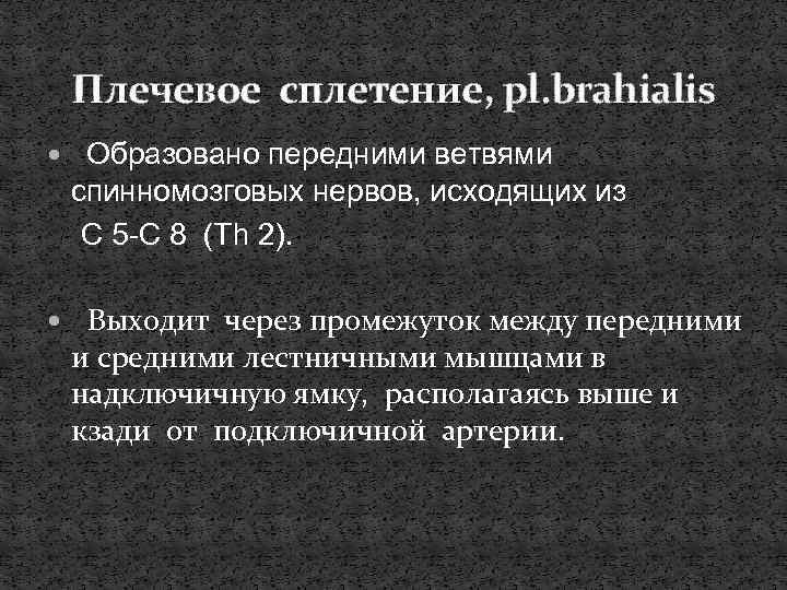 Плечевое сплетение, pl. brahialis Образовано передними ветвями спинномозговых нервов, исходящих из C 5 -C