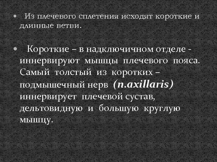  Из плечевого сплетения исходят короткие и длинные ветви. Короткие – в надключичном отделе