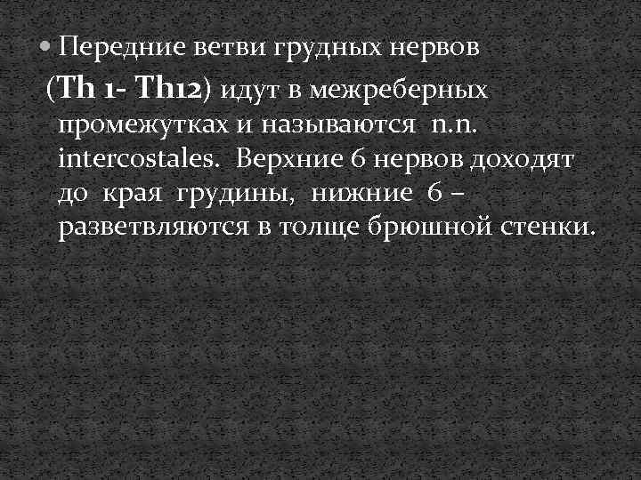  Передние ветви грудных нервов (Th 1 - Th 12) идут в межреберных промежутках