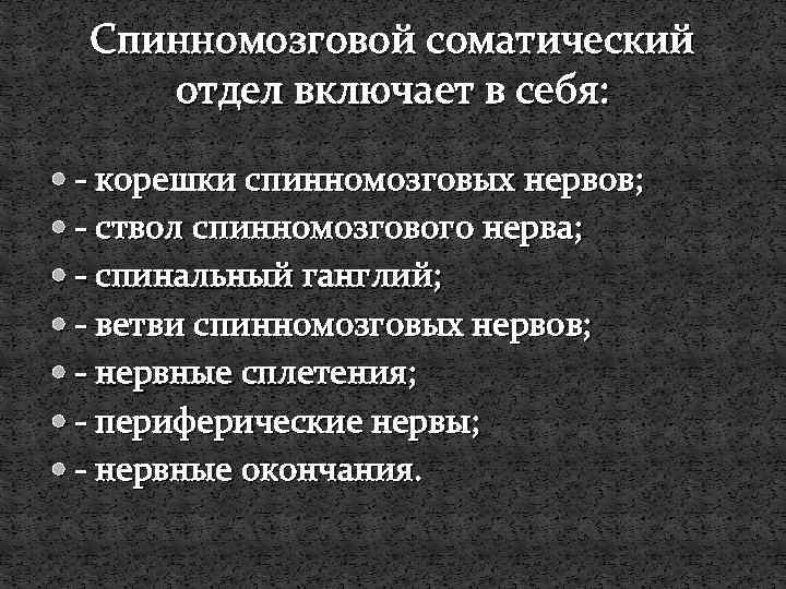 Спинномозговой соматический отдел включает в себя: - корешки спинномозговых нервов; - ствол спинномозгового нерва;