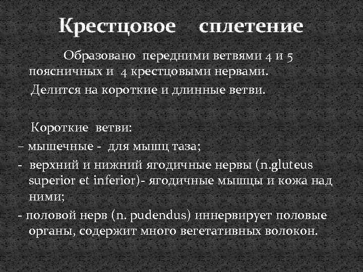 Крестцовое сплетение Образовано передними ветвями 4 и 5 поясничных и 4 крестцовыми нервами. Делится