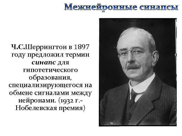 Ч. С. Шеррингтон в 1897 году предложил термин синапс для гипотетического образования, специализирующегося на