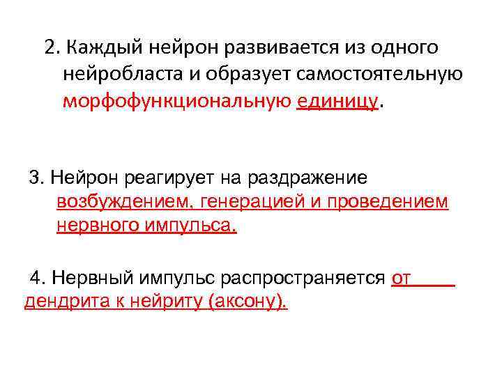 2. Каждый нейрон развивается из одного нейробласта и образует самостоятельную морфофункциональную единицу. 3. Нейрон