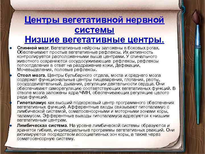 Центры вегетативной нервной системы Низшие вегетативные центры. l l Спинной мозг. Вегетативные нейроны заложены