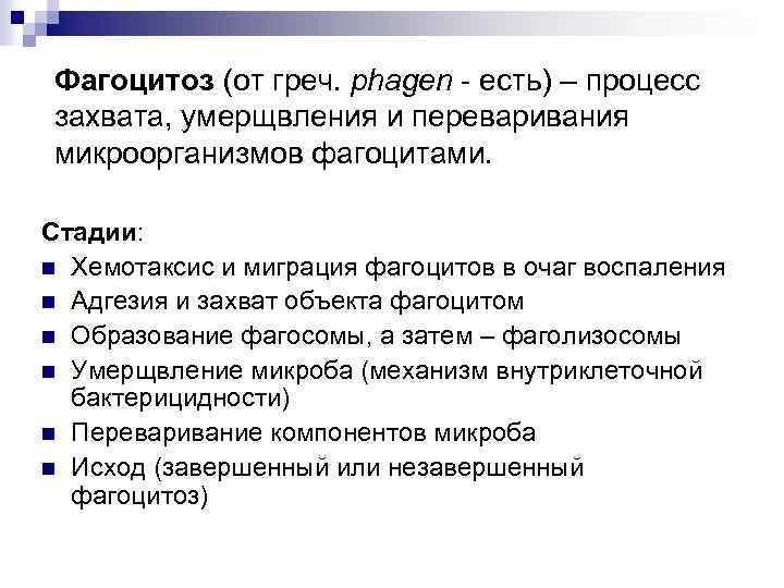 Фагоцитоз (от греч. phagen - есть) – процесс захвата, умерщвления и переваривания микроорганизмов фагоцитами.