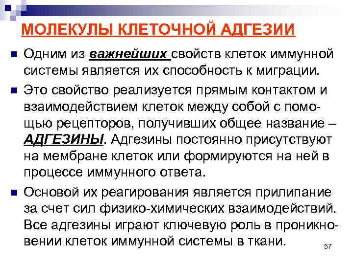 МОЛЕКУЛЫ КЛЕТОЧНОЙ АДГЕЗИИ n n n Одним из важнейших свойств клеток иммунной системы является